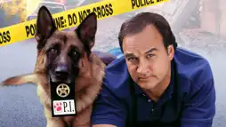 Watch and Download K-9: P.I. 2