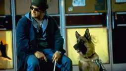 Watch and Download K-9: P.I. 3