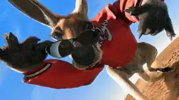 Watch and Download Kangaroo Jack 3