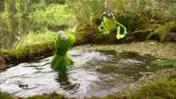 Watch and Download Kermit's Swamp Years 1