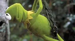 Watch and Download Kermit's Swamp Years 10