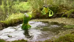 Watch and Download Kermit's Swamp Years 11