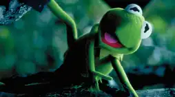 Watch and Download Kermit's Swamp Years 13