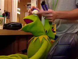 Watch and Download Kermit's Swamp Years 15