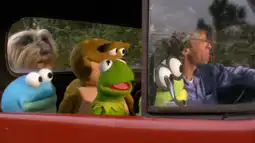 Watch and Download Kermit's Swamp Years 8