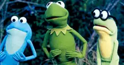 Watch and Download Kermit's Swamp Years 9