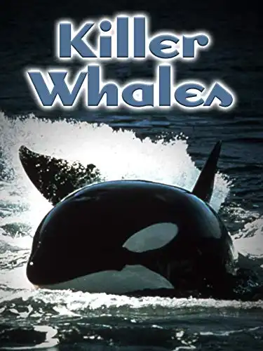 Watch and Download Killer Whales: Up Close and Personal 1