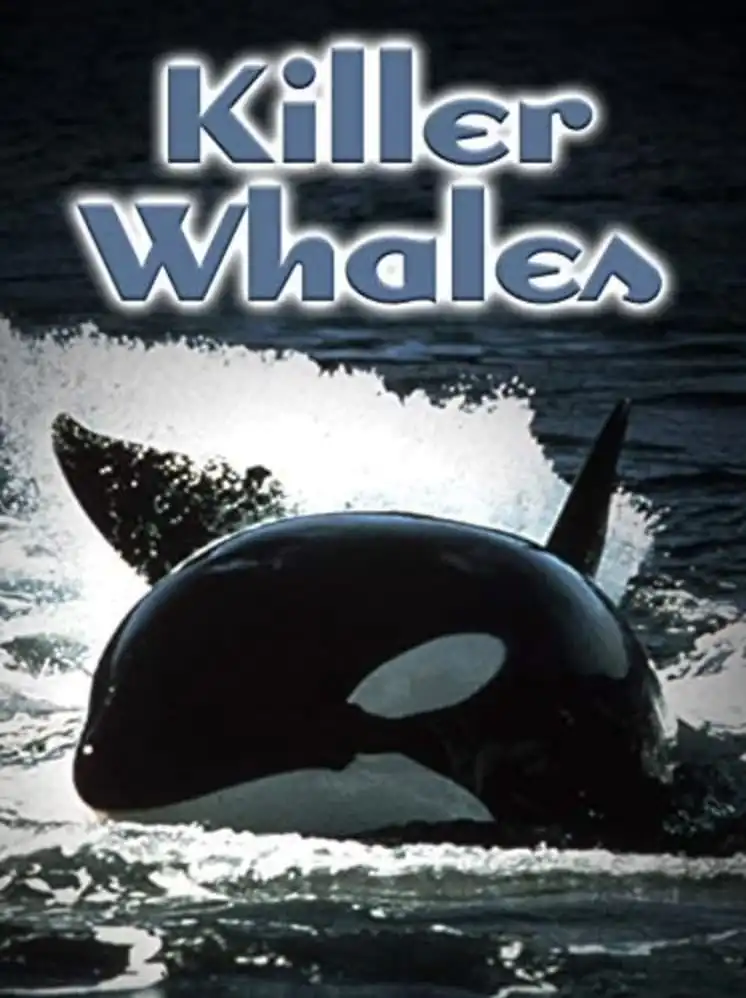 Watch and Download Killer Whales: Up Close and Personal