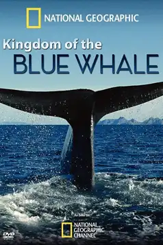 Watch and Download Kingdom of the Blue Whale