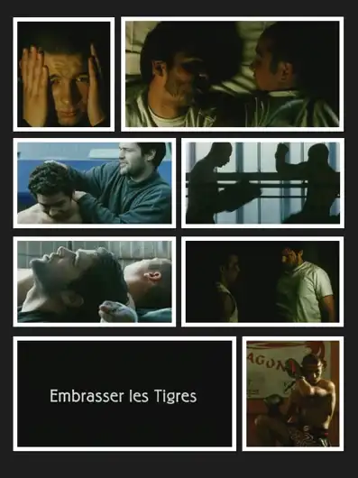 Watch and Download Kissing Tigers 2