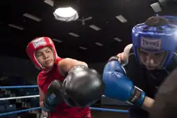 Watch and Download Knockout 8