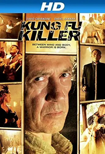 Watch and Download Kung Fu Killer 14