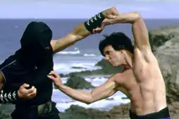 Watch and Download Kung Pow: Enter the Fist 6