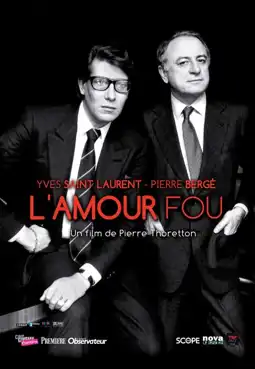 Watch and Download L'Amour Fou 11