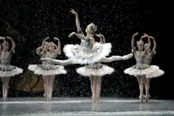 Watch and Download La Danse: The Paris Opera Ballet 7