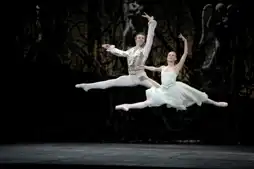 Watch and Download La Danse: The Paris Opera Ballet 8