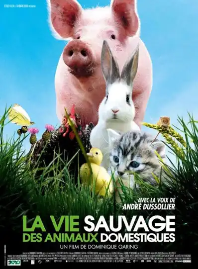 Watch and Download La vie sauvage des animaux domestiques 2