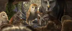 Watch and Download Legend of the Guardians: The Owls of Ga'Hoole 4