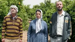 Watch and Download Lemon Tree 1