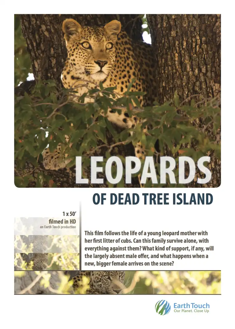 Watch and Download Leopards of Dead Tree Island 1