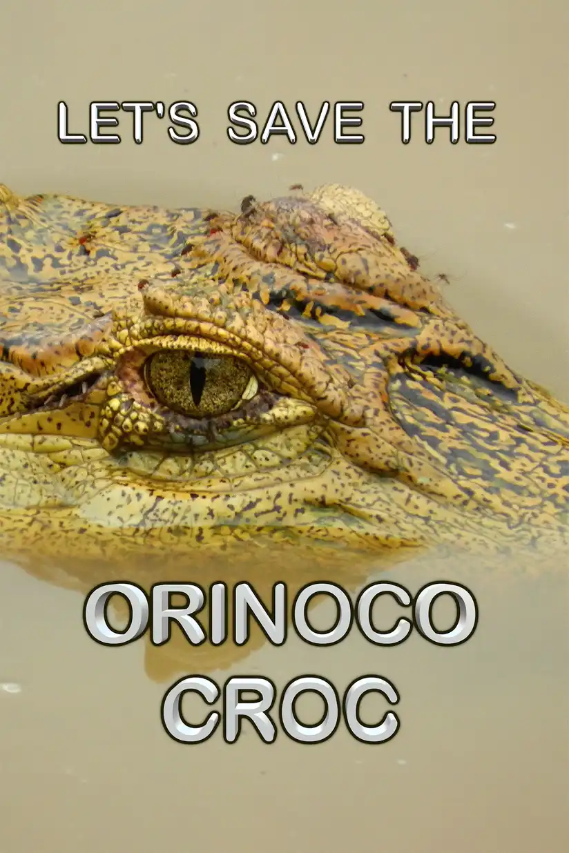 Watch and Download Let’s Save the Orinoco Croc 1