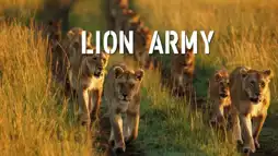 Watch and Download Lion Army 1