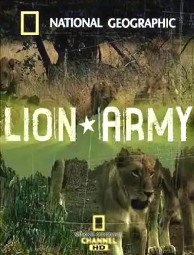 Watch and Download Lion Army 4