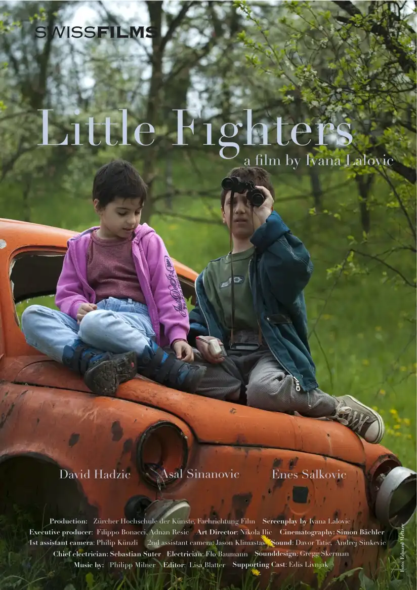 Watch and Download Little Fighters 1