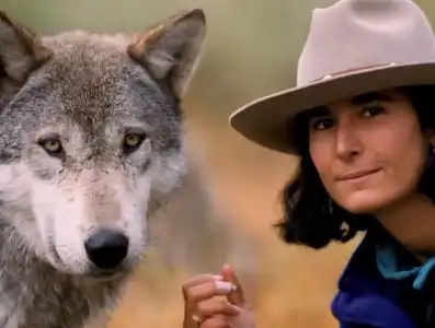 Watch and Download Living with Wolves 14