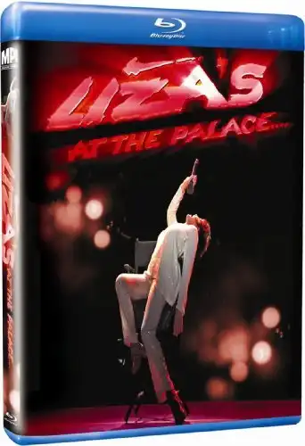 Watch and Download Liza Minnelli: Liza's at The Palace 4