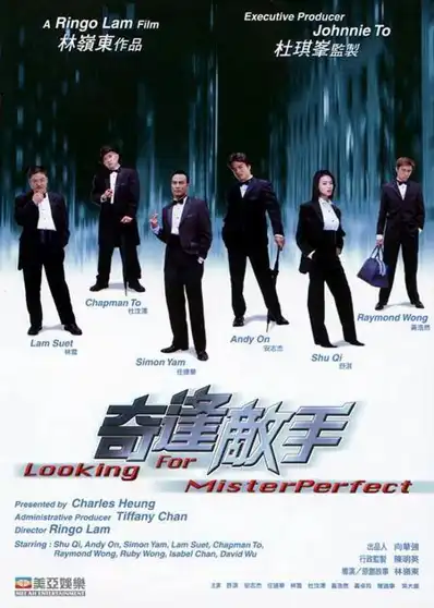 Watch and Download Looking for Mr. Perfect 2