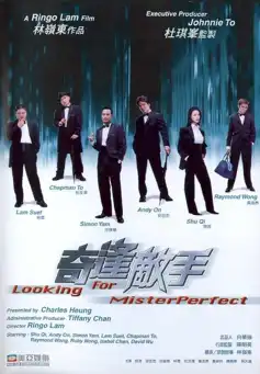 Watch and Download Looking for Mr. Perfect