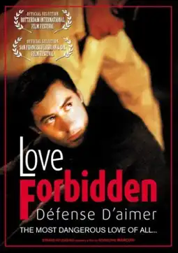 Watch and Download Love Forbidden 2