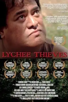 Watch and Download Lychee Thieves