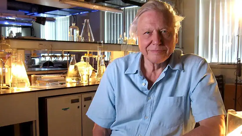 Watch and Download Mad and Bad: 60 Years of Science on TV 1