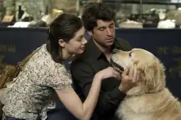 Watch and Download Made of Honor 10