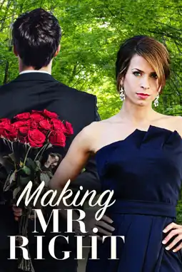 Watch and Download Making Mr. Right 12