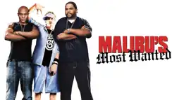 Watch and Download Malibu's Most Wanted 3