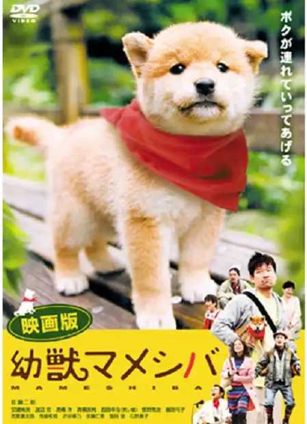 Watch and Download Mameshiba Cubbish Puppy 1