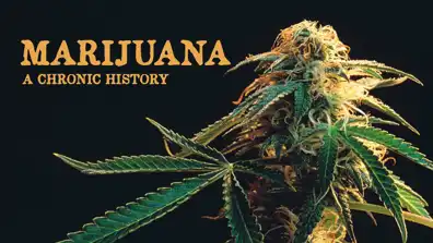 Watch and Download Marijuana: A Chronic History 1