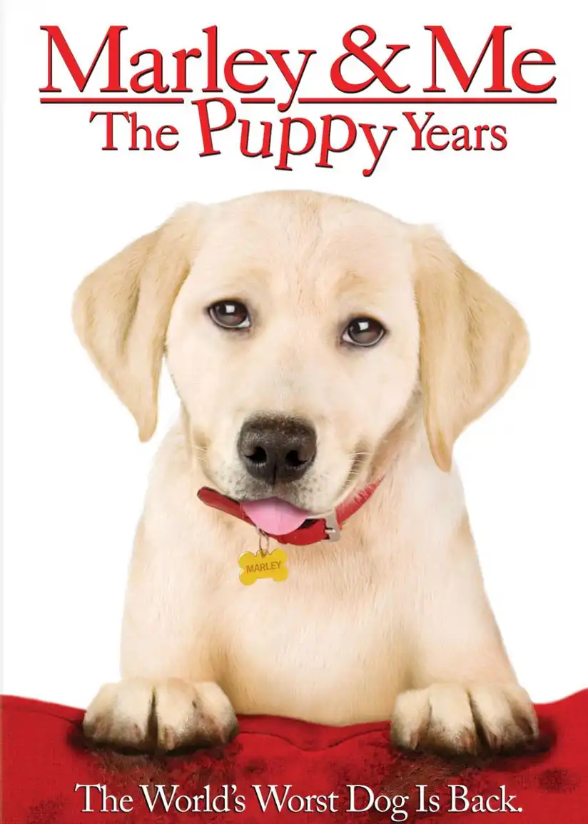 Watch and Download Marley & Me: The Puppy Years 13