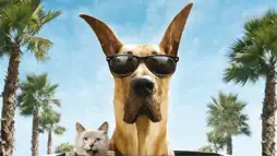 Watch and Download Marmaduke 1