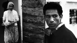 Watch and Download Marxist Poetry: The Making of The Battle of Algiers 4