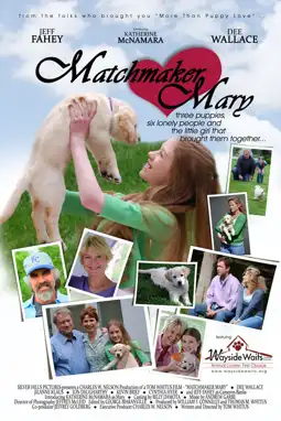 Watch and Download Matchmaker Mary 2