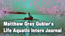 Watch and Download Matthew Gray Gubler's Life Aquatic Intern Journal 1