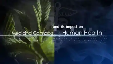 Watch and Download Medical Cannabis and Its Impact on Human Health 1