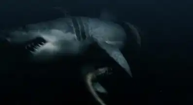 Watch and Download Mega Shark vs. Giant Octopus 14