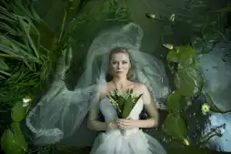 Watch and Download Melancholia 14