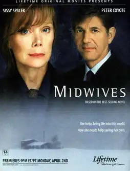 Watch and Download Midwives 3