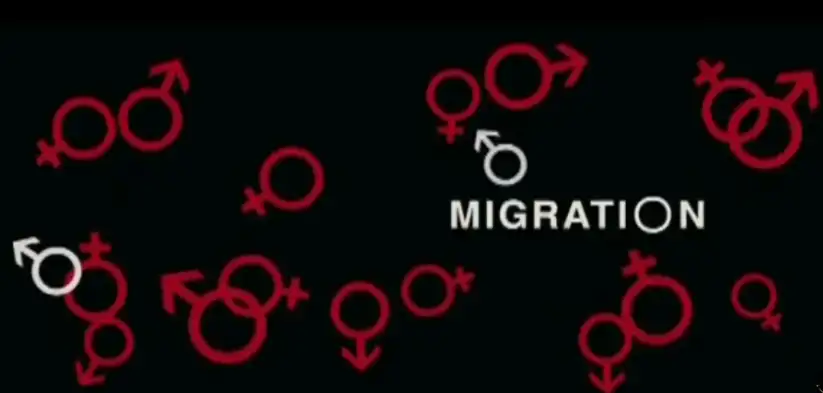 Watch and Download Migration 1